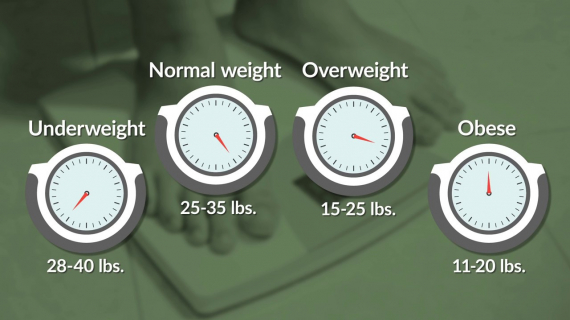 Pregnancy Weight Gain Pregnancy Weight Gain