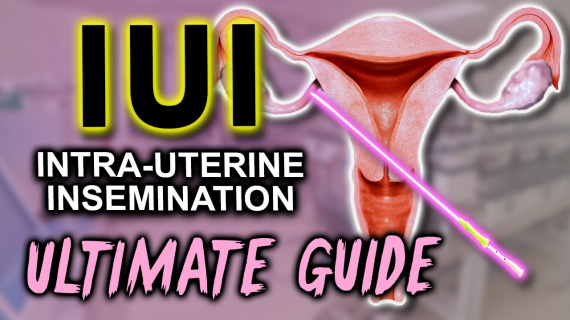  Fertility expert secrets for maximum pregnancy rates