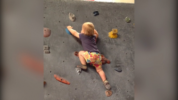 This toddler is rock climbing like a pro.