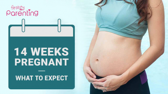 14 Weeks Pregnant: What to Expect