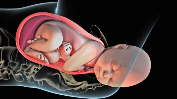Patient Education Animation: Labor and Vaginal Birth