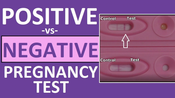 Pregnancy Test: Positive vs Negative Results