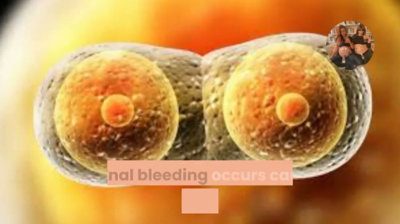 first week of pregnancy symptoms