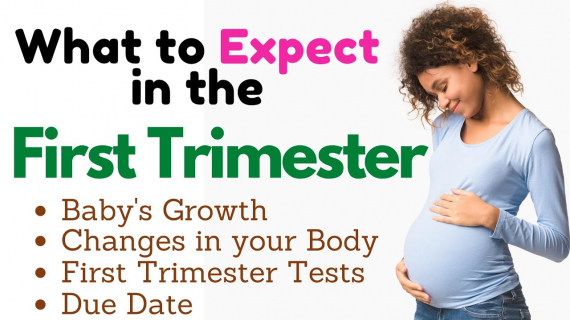 Baby's Growth in the First Trimeste