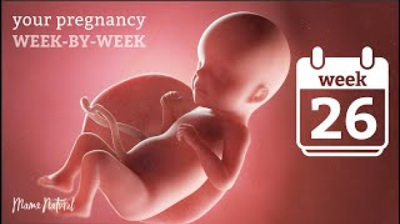 26 Weeks Pregnant