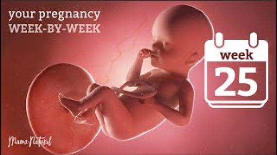 25 Weeks Pregnant