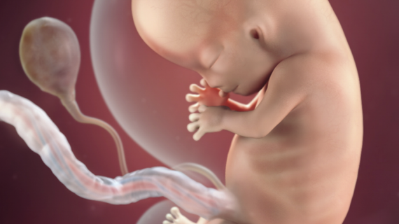 How Your Baby Grows at 10th Week of Pregnancy 