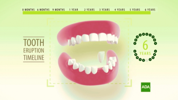 Pregnancy and Newborn Oral Health