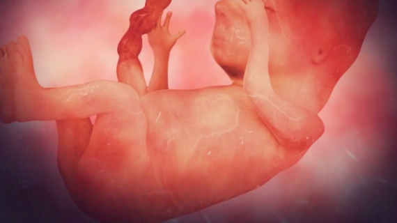 Pregnancy Week 12 - Three Months Pregnant