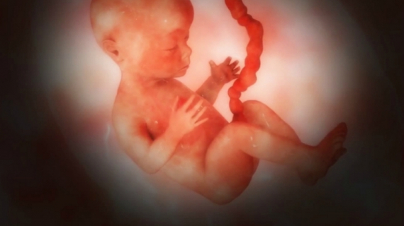 Pregnancy Week 27 - Six Months Pregnant