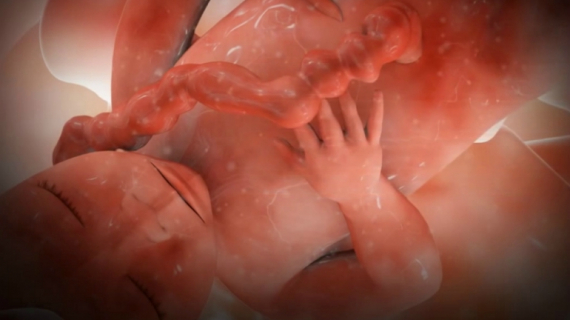 Pregnancy Week 37 - Nine Months Pregnant