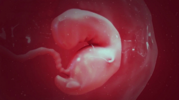 Pregnancy Week 4 - One Months Pregnant