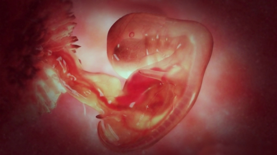 Pregnancy Week 5 - Two Months Pregnant