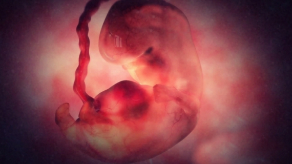 Pregnancy Week 6 - Two Months Pregnant