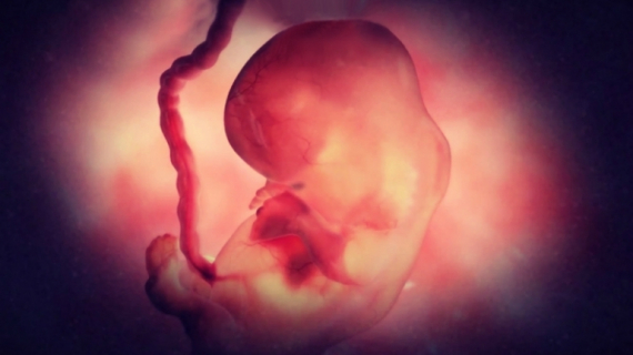 Pregnancy Week 7 - Two Months Pregnant