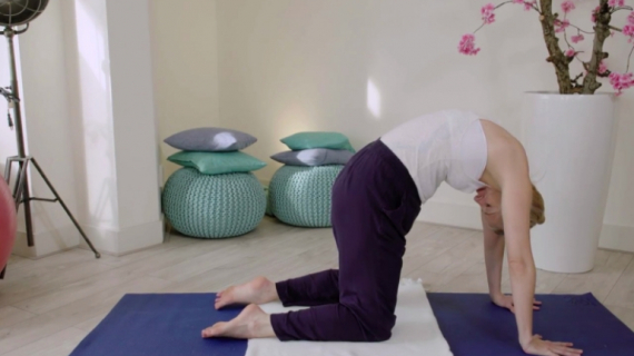 Prenatal Pilates: Cat Cow Stretch