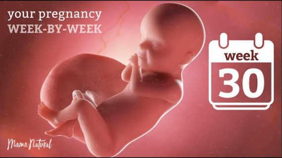 30 Weeks Pregnant 