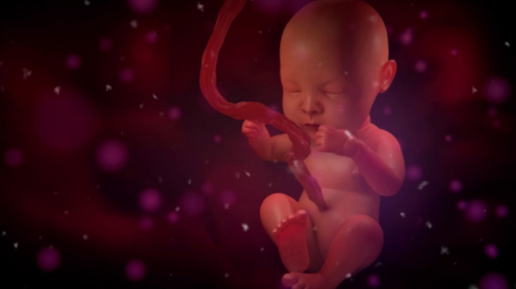 The Importance of Early Life Nutrition