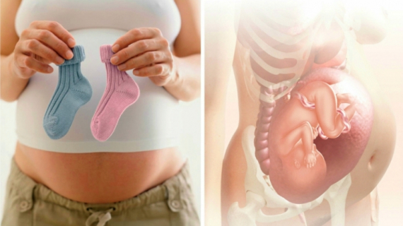 Third Trimester: What Happens to Your Unborn Baby?