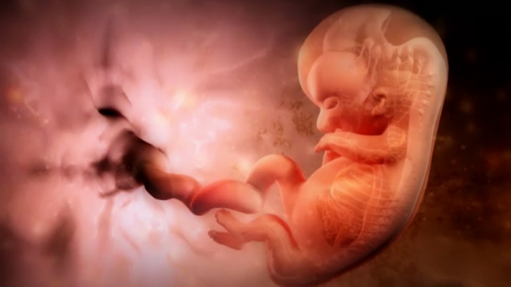 What Happens During Pregnancy Week 10?