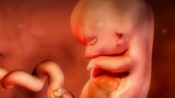 What Happens During Pregnancy Week 11?