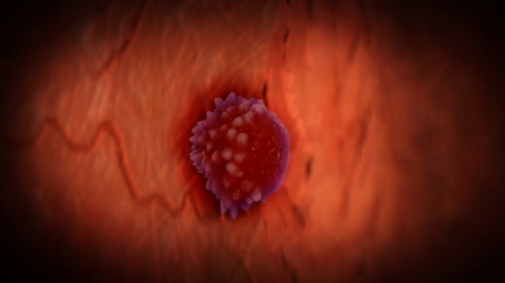 What Happens During Pregnancy Week 4?