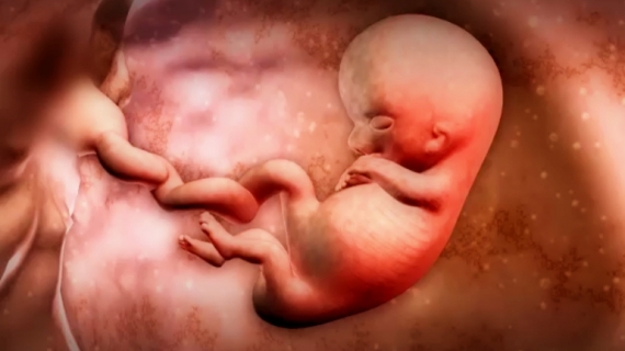 What Happens During Pregnancy Week 9?