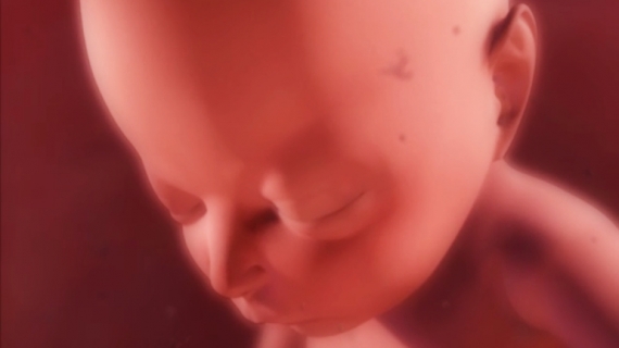 What Happens During Pregnancy Weeks 19 to 25?