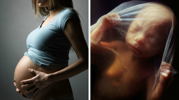 What Happens Inside the Womb During Pregnancy?