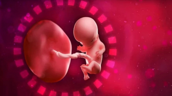 What is Happening at 10 Weeks Pregnant?