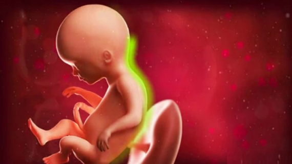 What is Happening at 16 Weeks Pregnant?