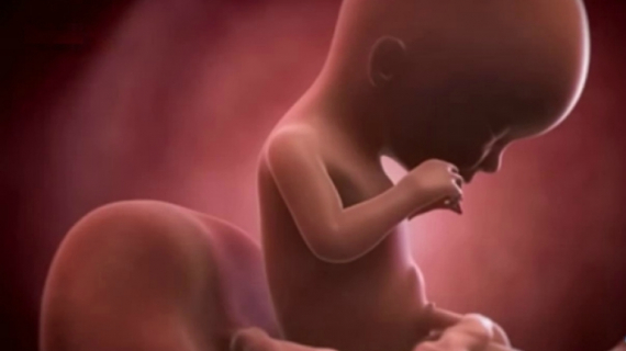 What is Happening at 17 Weeks Pregnant?