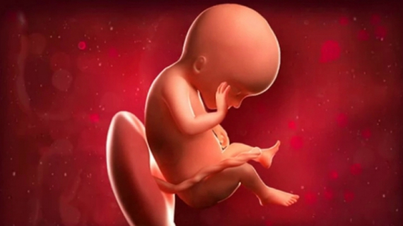 What is Happening at 19 Weeks Pregnant?