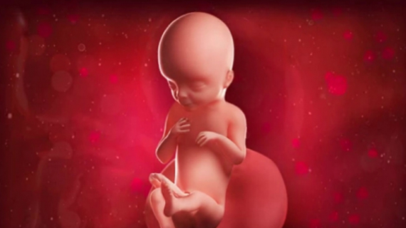 What is Happening at 20 Weeks Pregnant?