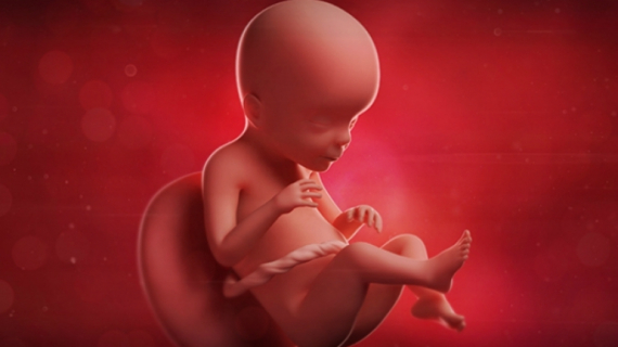 What is Happening at 23 Weeks Pregnant?