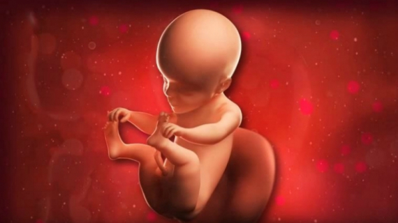 What is Happening at 24 Weeks Pregnant?