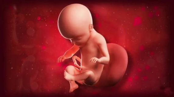 What is Happening at 25 Weeks Pregnant?