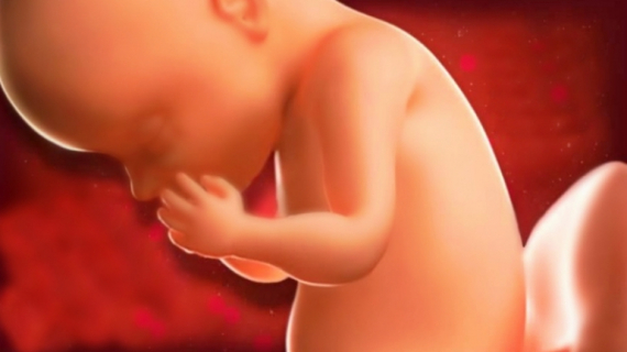 What is Happening at 29 Weeks Pregnant?