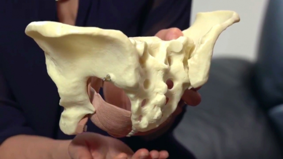 What is the Pelvic Floor?