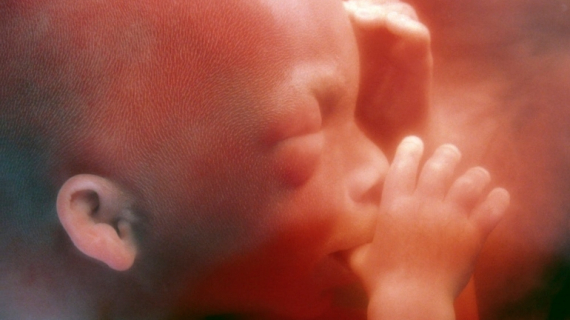 What is the Point at Which Human Life Begins?