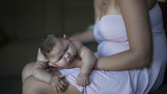 What is the Zika Virus Infection?