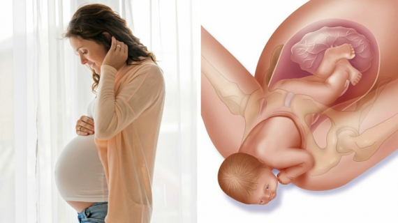 What You Need to Know About Cervix Dilation