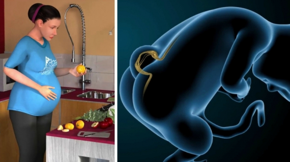 Why Folic Acid Is Important for Pregnancy