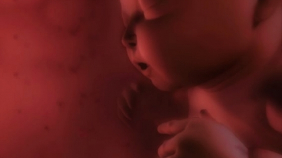 What Happens During Pregnancy Weeks 26 to 30?